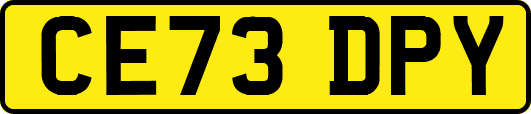 CE73DPY
