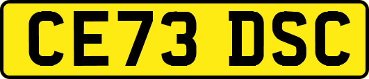 CE73DSC