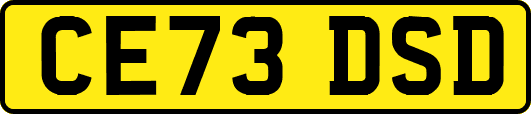 CE73DSD