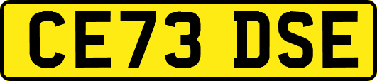 CE73DSE