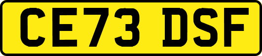 CE73DSF