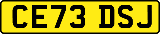 CE73DSJ