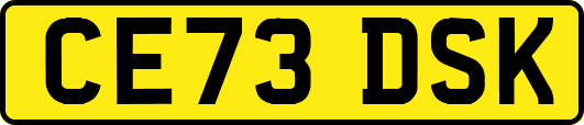 CE73DSK