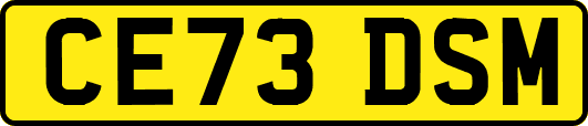 CE73DSM