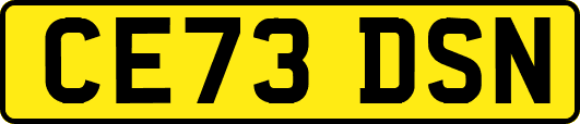 CE73DSN
