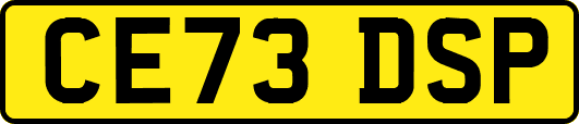 CE73DSP