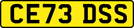 CE73DSS