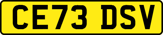 CE73DSV