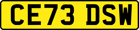 CE73DSW