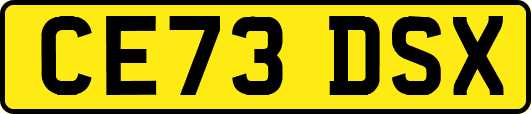 CE73DSX