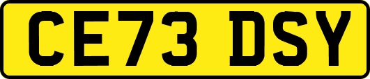 CE73DSY