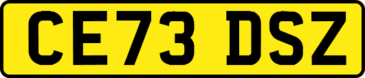 CE73DSZ
