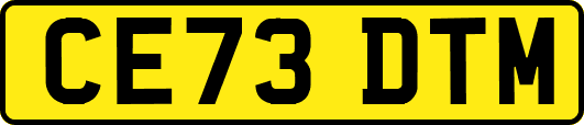 CE73DTM