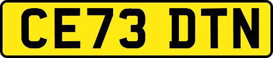 CE73DTN