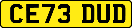 CE73DUD