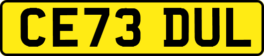 CE73DUL