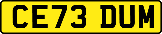 CE73DUM
