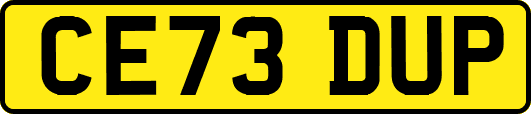 CE73DUP