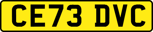 CE73DVC