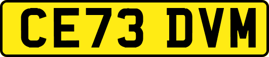 CE73DVM