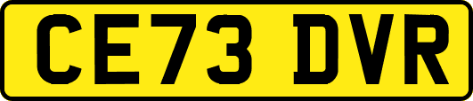 CE73DVR