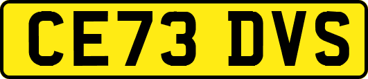 CE73DVS