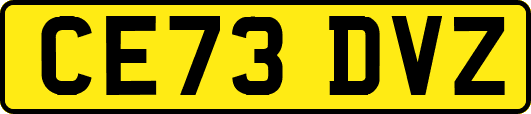 CE73DVZ
