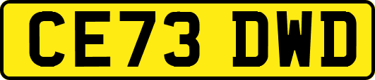 CE73DWD
