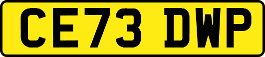 CE73DWP