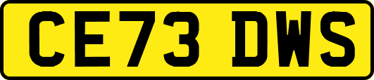 CE73DWS