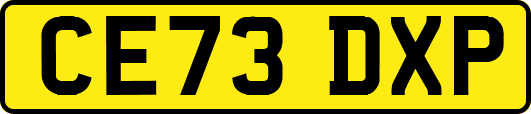 CE73DXP