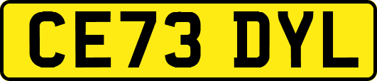 CE73DYL