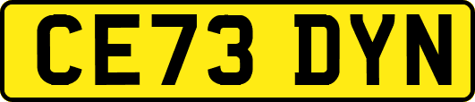 CE73DYN