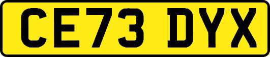 CE73DYX
