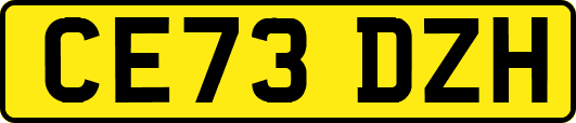 CE73DZH