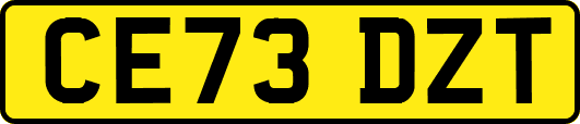 CE73DZT