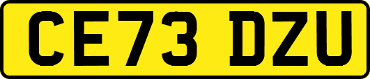 CE73DZU