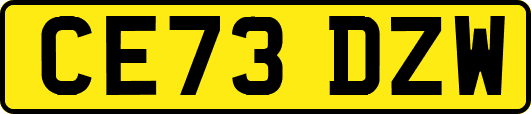 CE73DZW