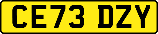 CE73DZY