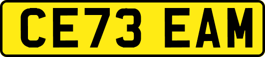 CE73EAM