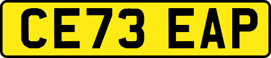 CE73EAP