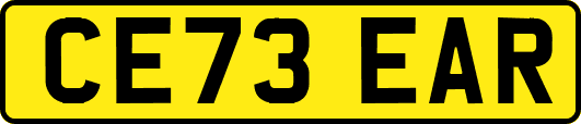 CE73EAR