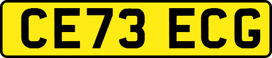 CE73ECG