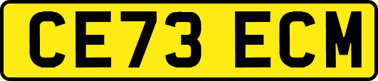 CE73ECM