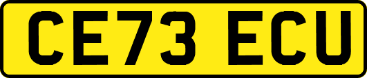 CE73ECU
