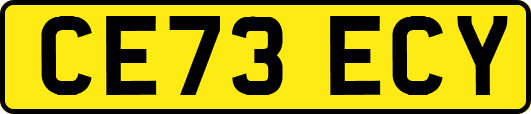 CE73ECY