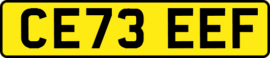 CE73EEF