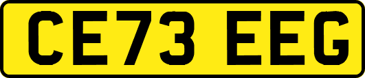 CE73EEG