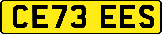 CE73EES