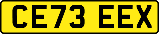 CE73EEX